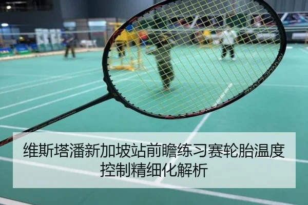 维斯塔潘新加坡站前瞻练习赛轮胎温度控制精细化解析